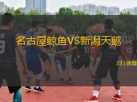名古屋鯨魚VS新潟天鵝