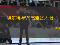 埃爾特姆VS高寶谷太陽