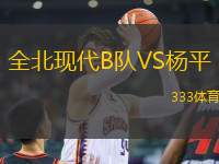 全北現(xiàn)代B隊VS楊平