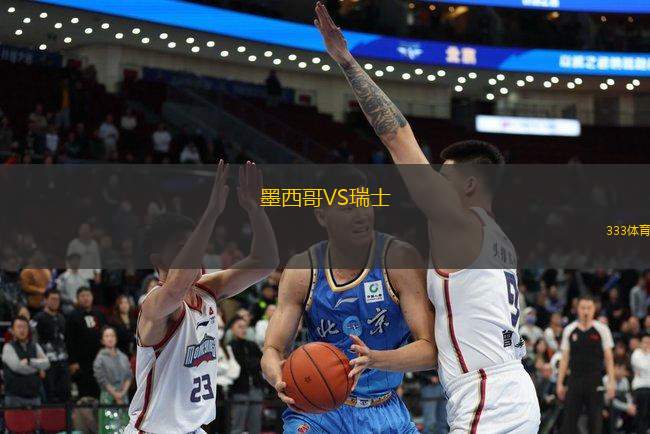 墨西哥VS瑞士