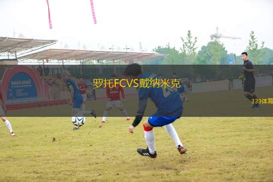 羅托FCVS戴納米克