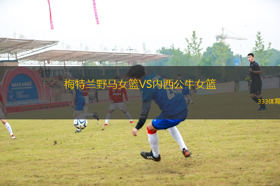 梅特蘭野馬女籃VS內(nèi)西公牛女籃