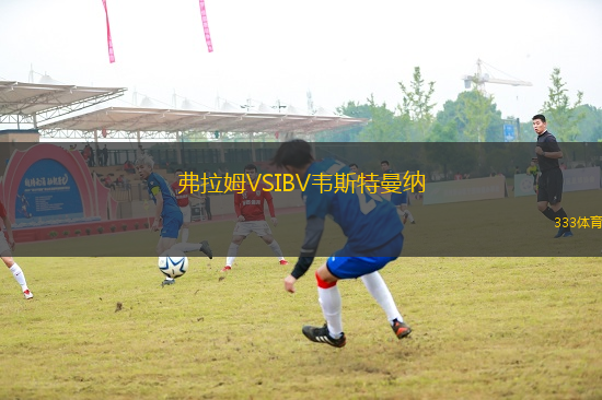 弗拉姆VSIBV韋斯特曼納